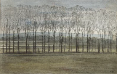 Vue depuis le Collège de Merton, 28 février 1791